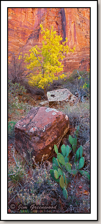 Zion Canyon