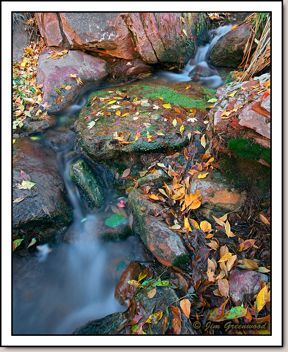 Zion Canyon