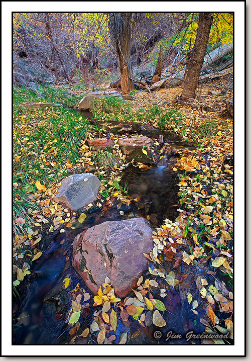 Zion Canyon