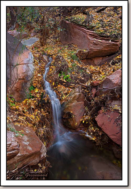 Zion Canyon