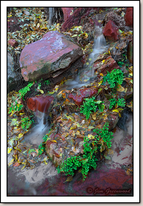 Zion Canyon