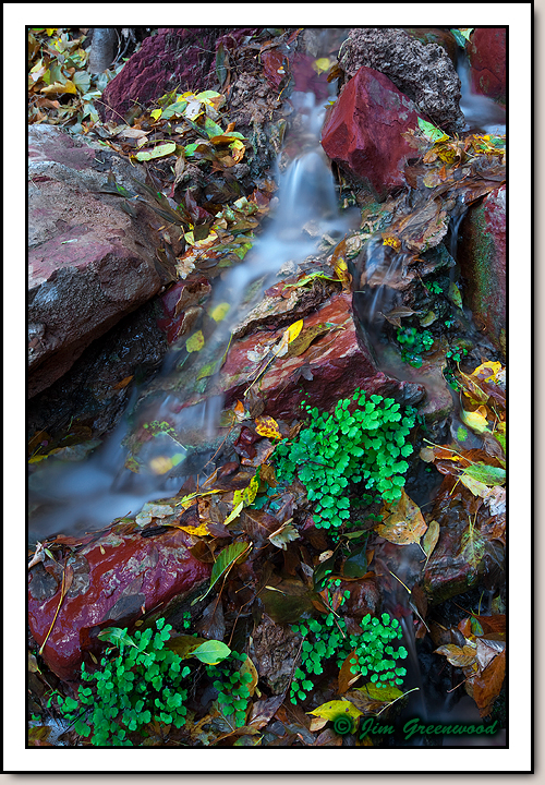 Zion Canyon