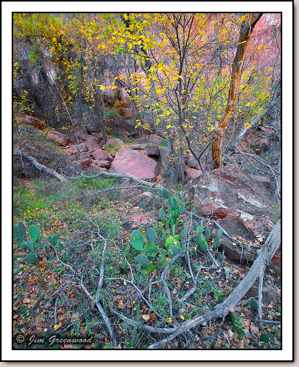 Zion Canyon