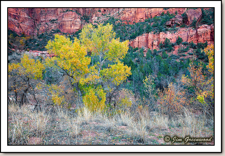 Zion Canyon