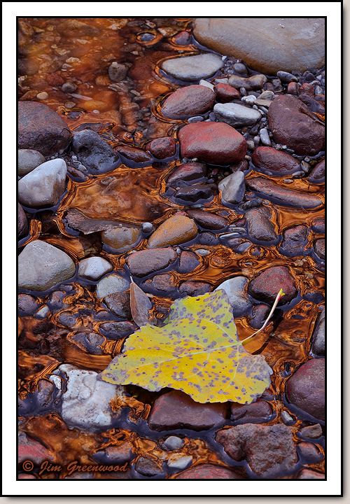 Pine Creek