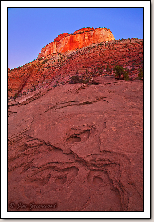 Canyon Overlook