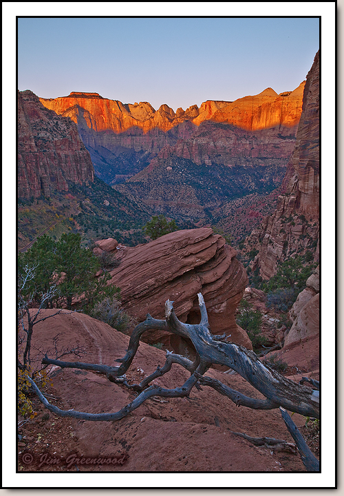 Canyon Overlook