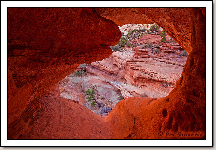 Canyon Overlook