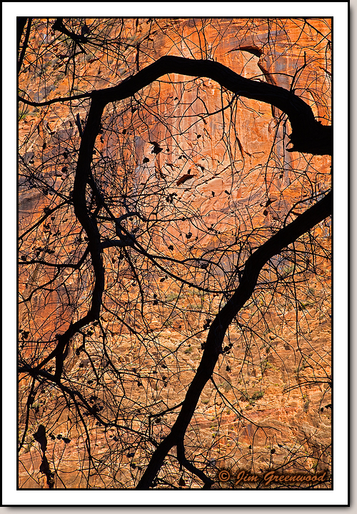 Zion Canyon