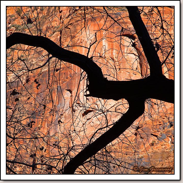 Zion Canyon