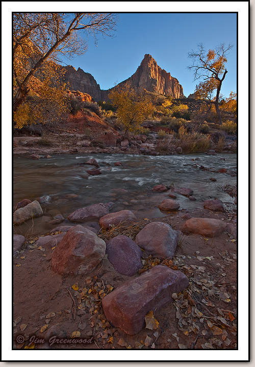 The Watchman