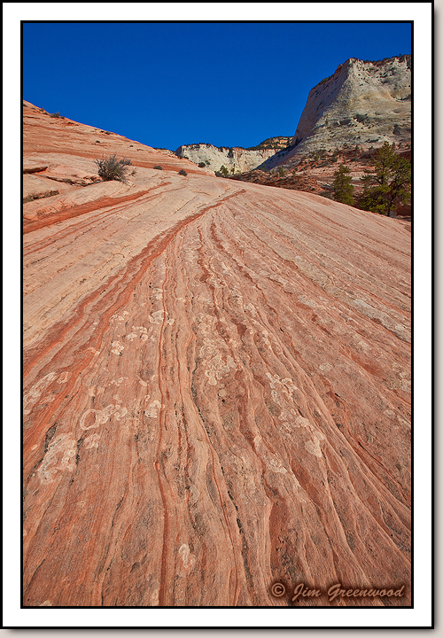 East Zion