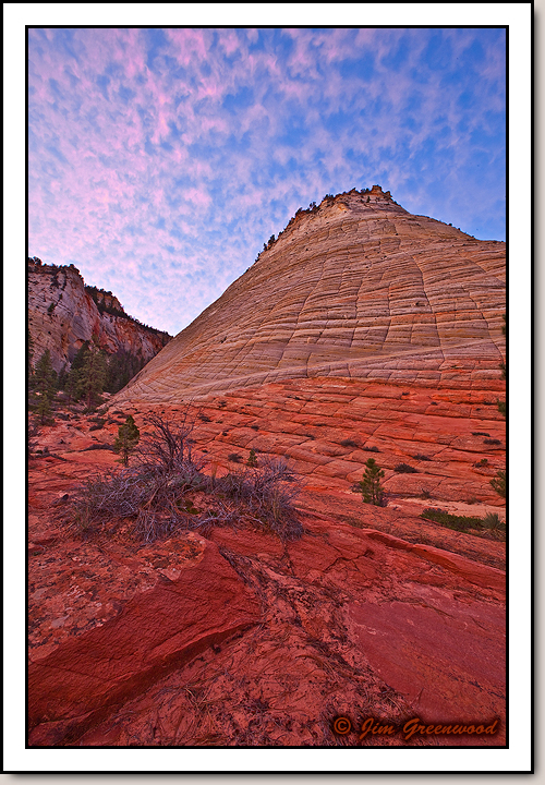 Checkerboard Mesa