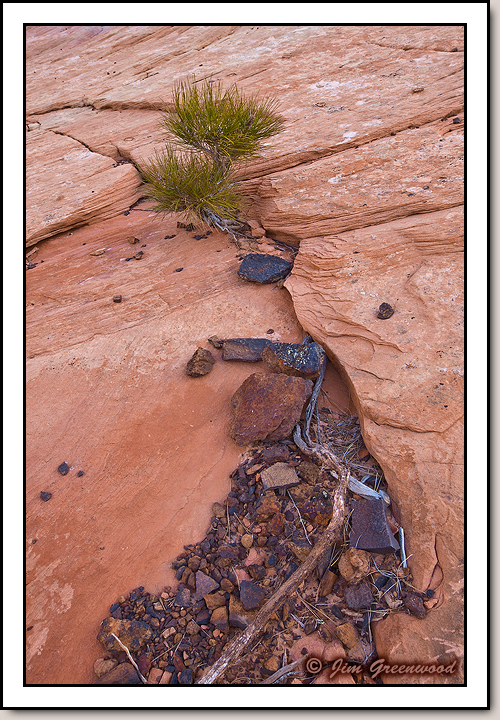 East Zion