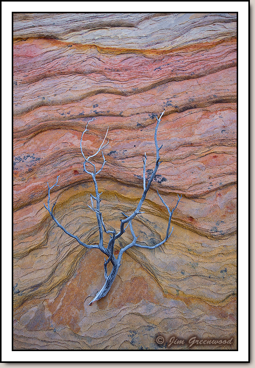 East Zion