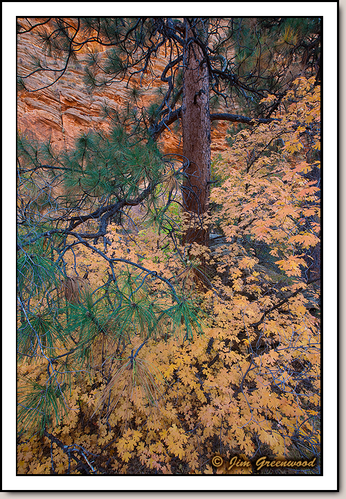 East Zion
