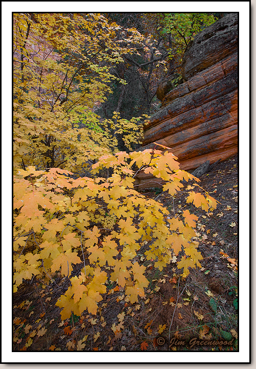 East Zion