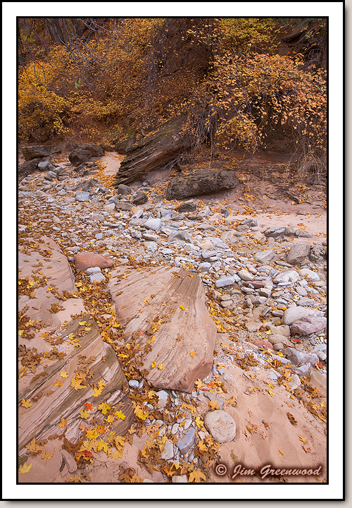 East Zion