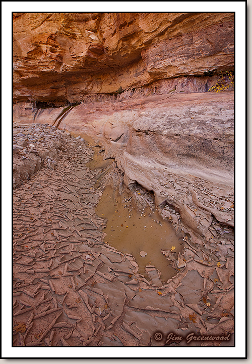 East Zion