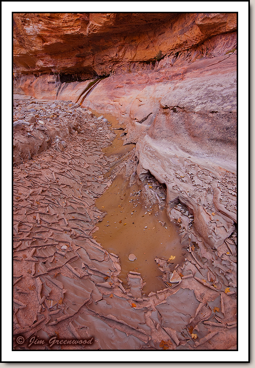 East Zion