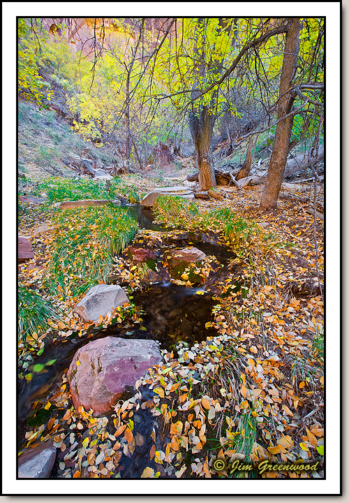 Zion Canyon