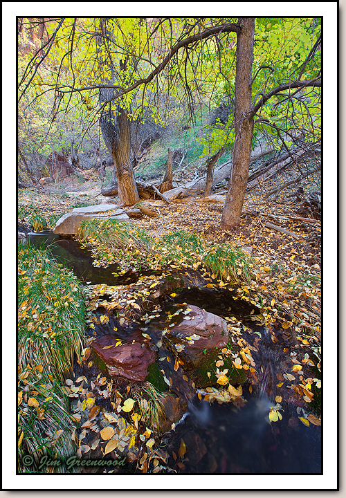 Zion Canyon