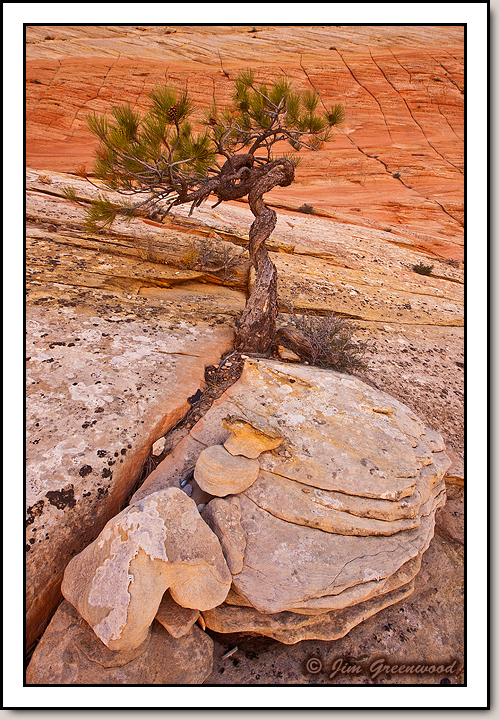 East Zion