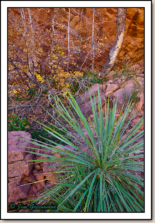 East Zion