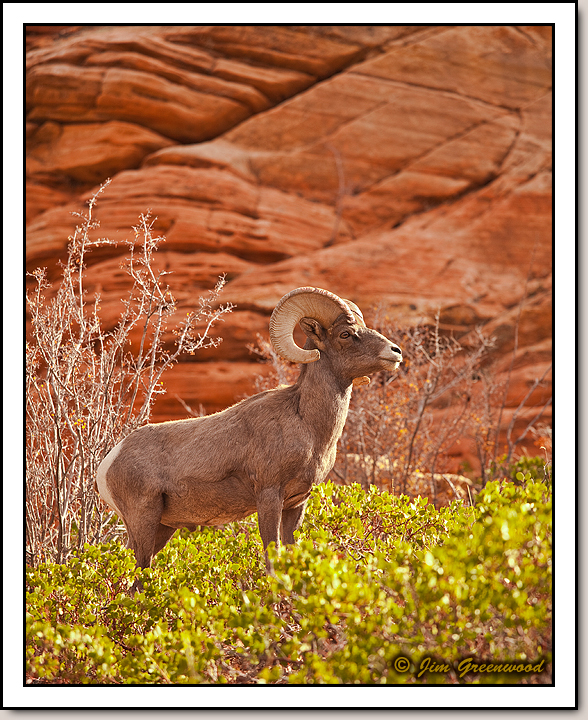 East Zion
