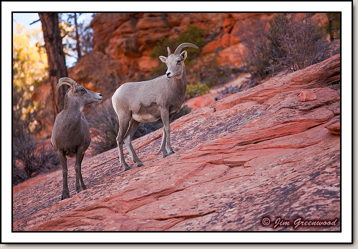 East Zion