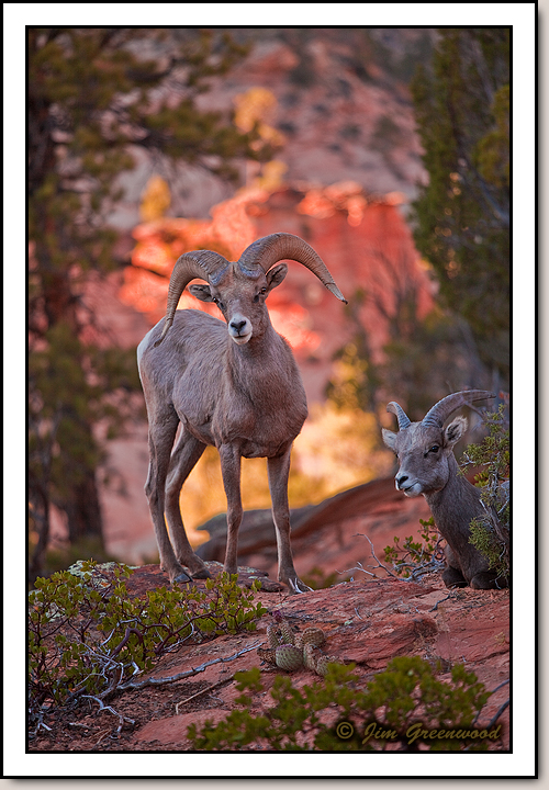 East Zion