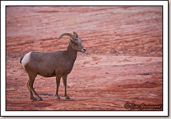 East Zion