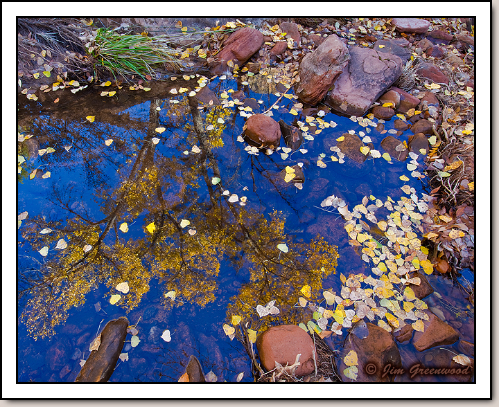 Zion Canyon