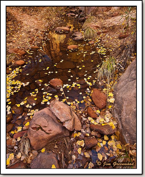 Zion Canyon