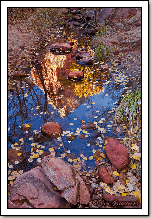 Zion Canyon