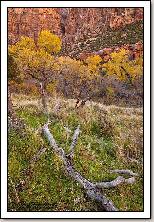 Zion Canyon