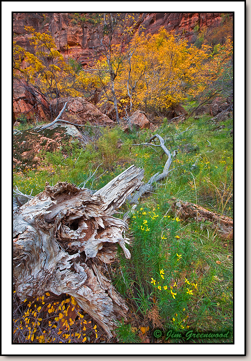 Zion Canyon