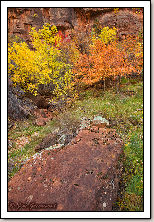 Zion Canyon