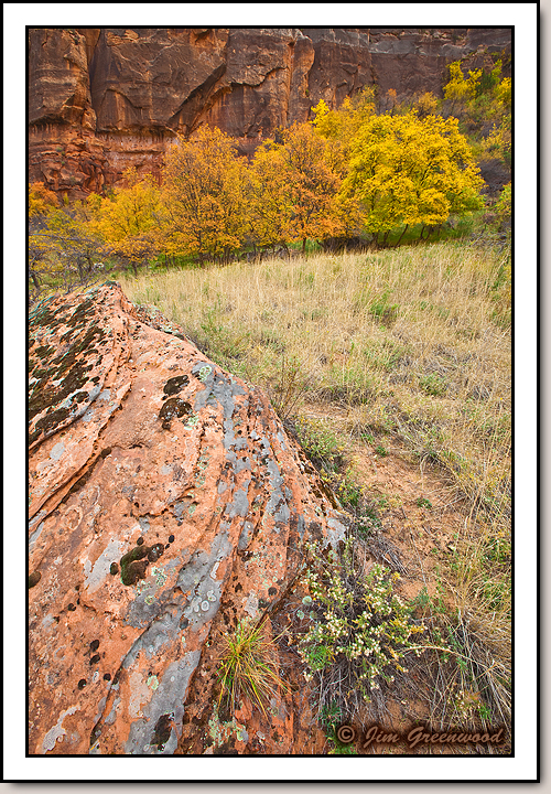 Zion Canyon