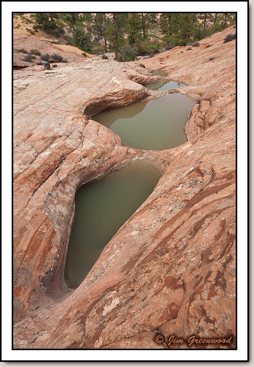 East Zion