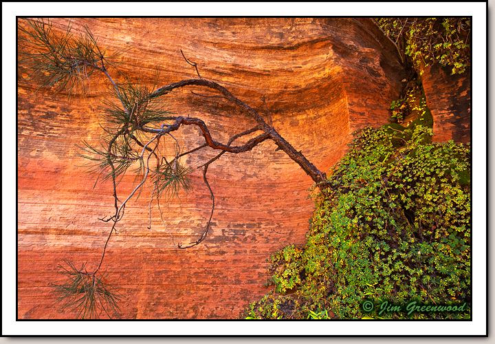 East Zion