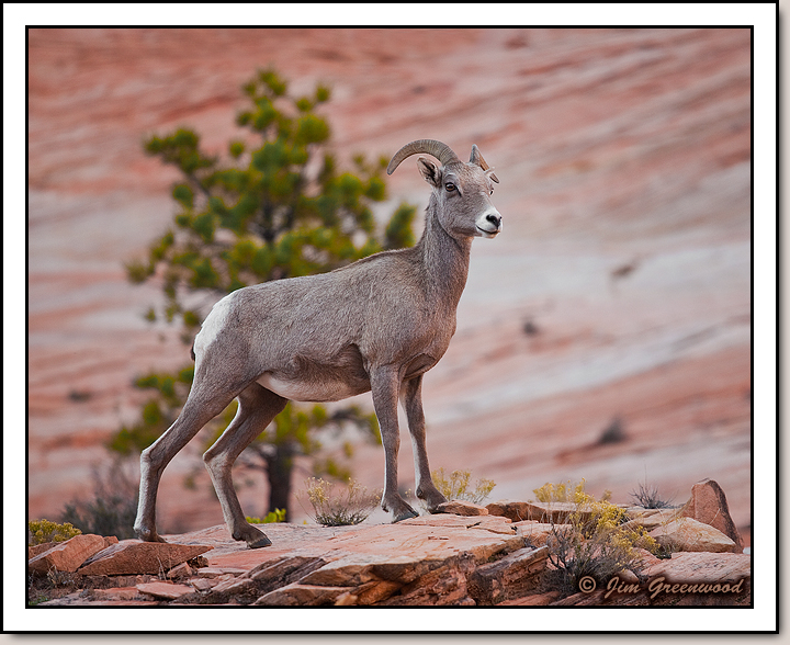 East Zion