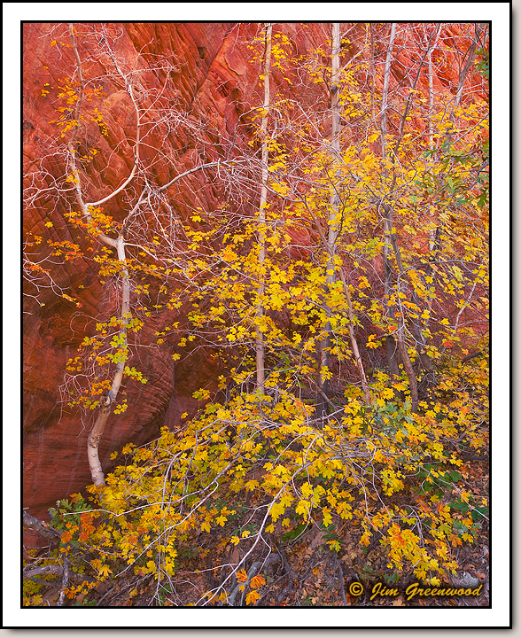 East Zion