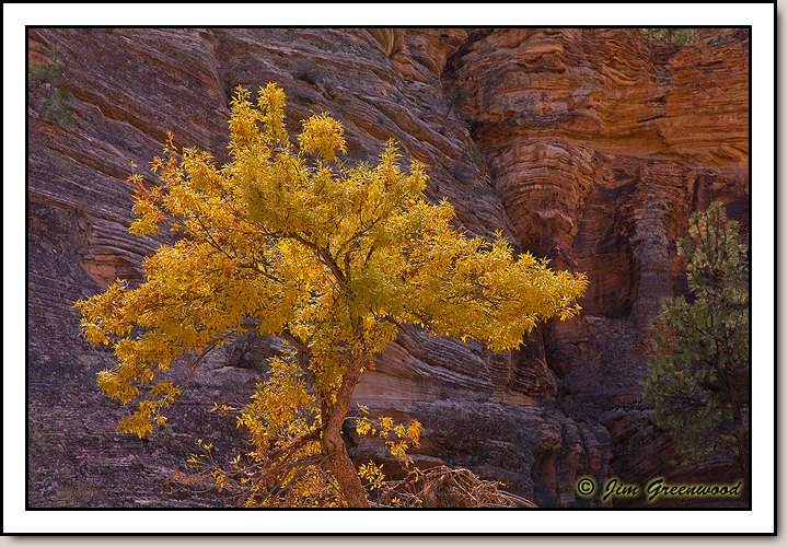East Zion