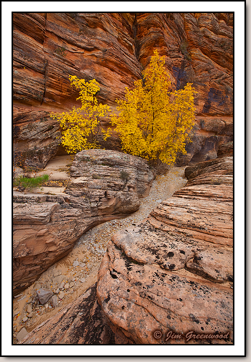 East Zion