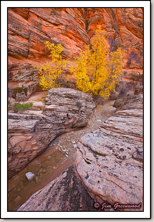 East Zion