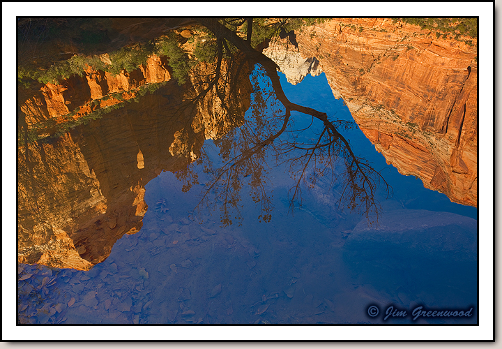Pine Creek