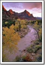 Zion National Park - Gallery 1
