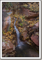 Zion National Park - Gallery 8