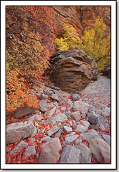 Zion National Park - Gallery 7